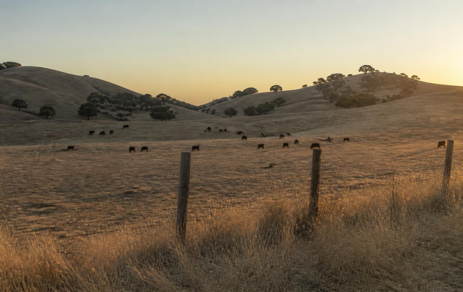 Startups in California's Central Valley